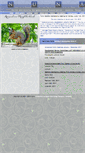 Mobile Screenshot of nunaaustin.org